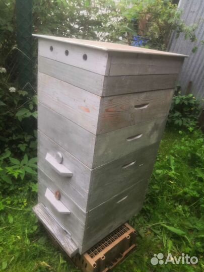 Улей для пчел бу