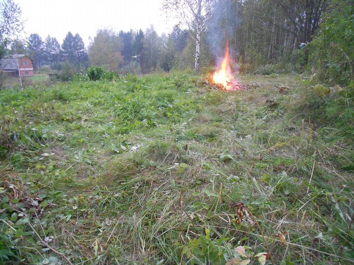 Участок 6 сот. (СНТ, ДНП)