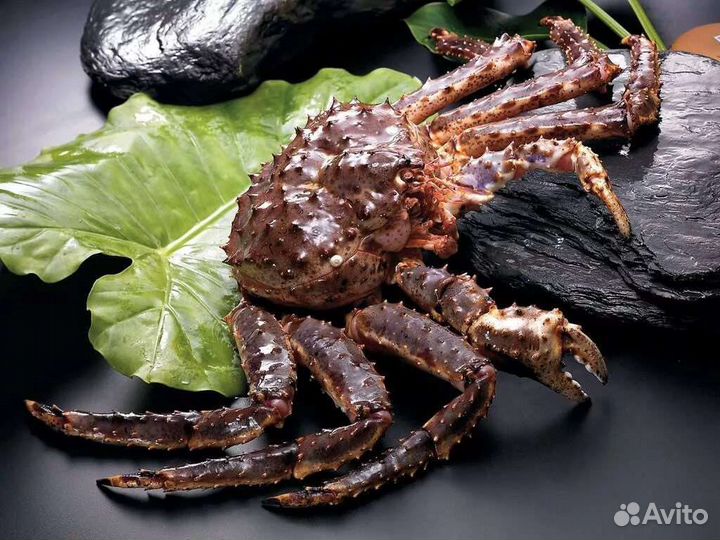 Краб камчатский живой