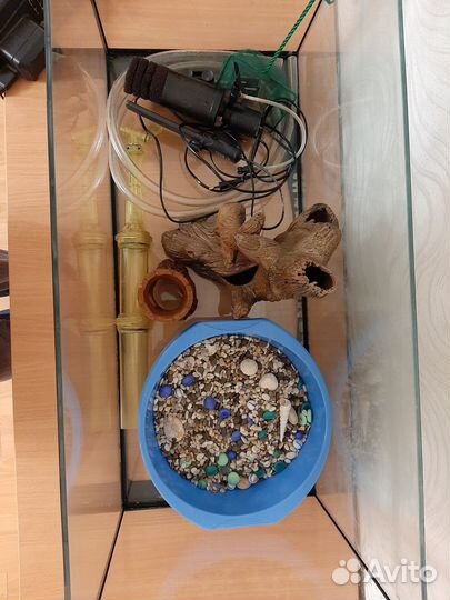 Аквариумные принадлежности и террариум