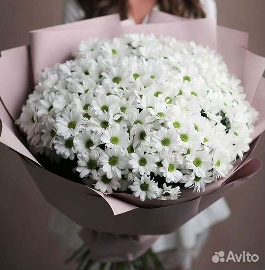 Хризантема Букеты с доставкой