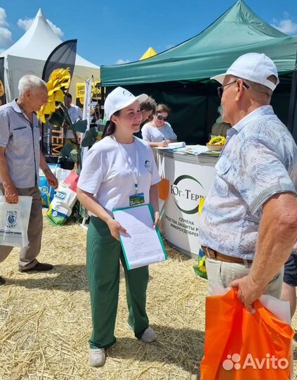 Семена подсолнечника Гепард (Евролайтинг)