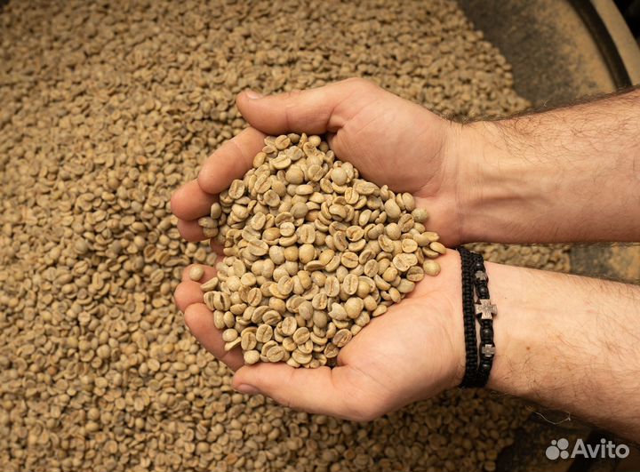 Кофе в зернах, Arabica Classic. Оптом