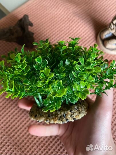 Декорации для аквариума