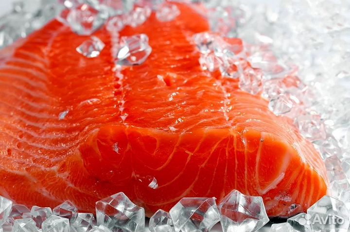 Бизнес на продаже рыбы и морепродуктов