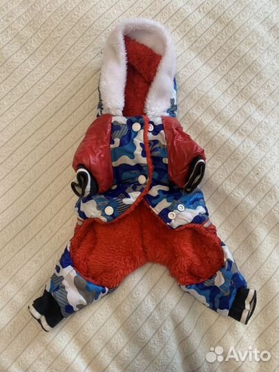 Одежда для собак