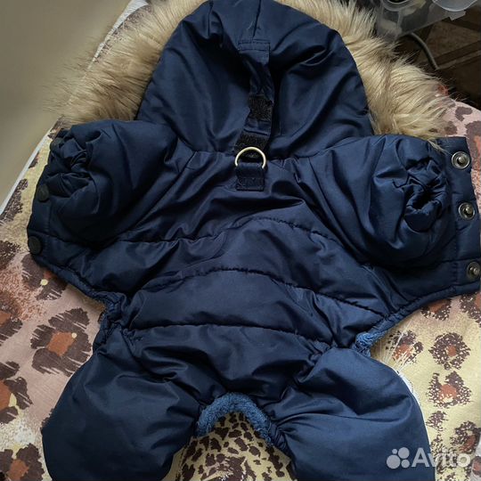 Зимний комбинезон для маленьких собак