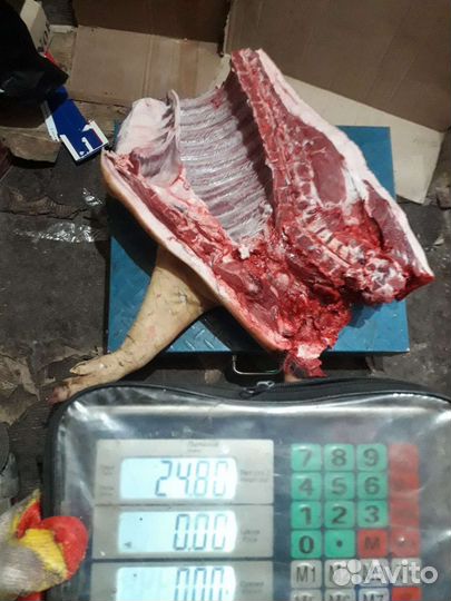 Мясо свиное парноее