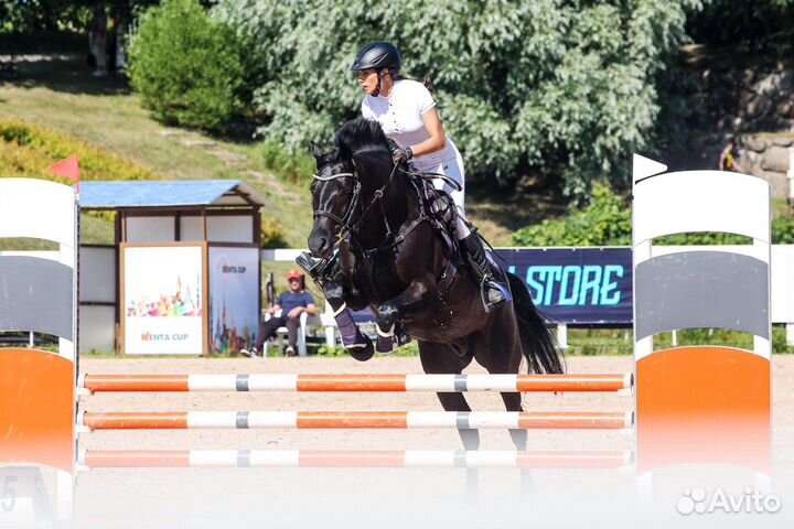 Тренировки по конному спорту и верховой езде