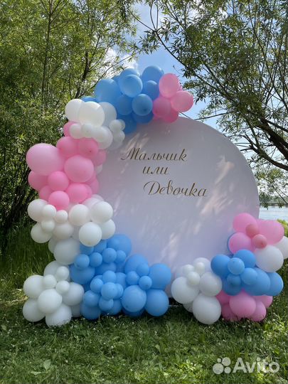 Фотозона на гендер пати