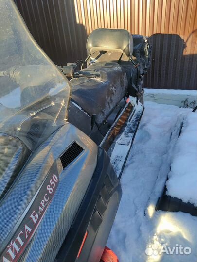 Тайга Барс 850