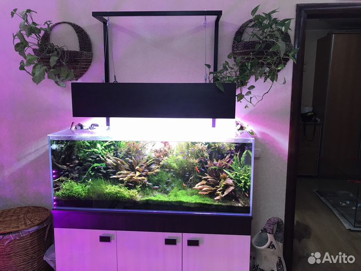 Аквариумы на заказ по вашим размерам