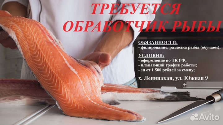 Обработчик рыбы