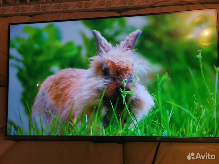 Новый 4k телевизор hqLED Haier 43