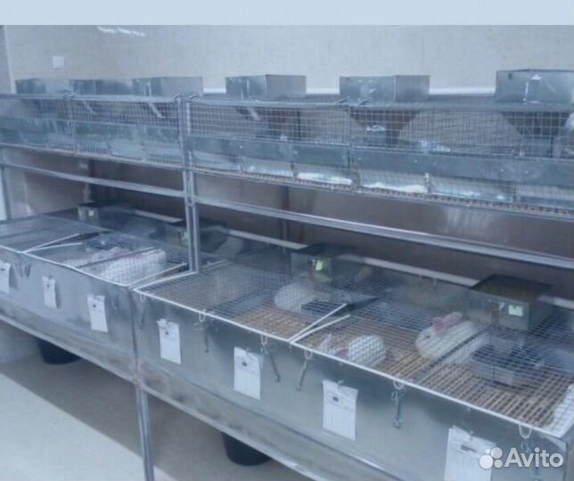 Продам клетку для разведения кроликов