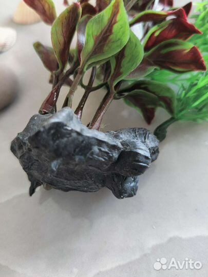 Аквариумные растения искусственные