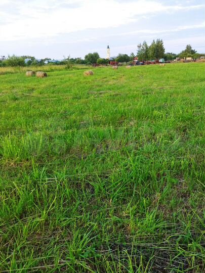 Участок 16,8 сот. (ИЖС)