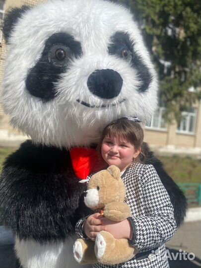 Аниматор, ростовая кукла Панда