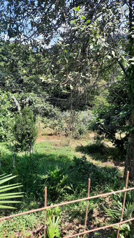 Участок 4,1 сот. (ИЖС)