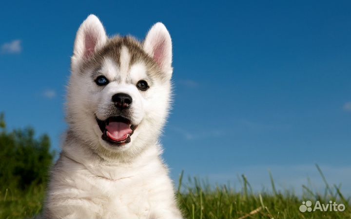 Пошив постельного белья