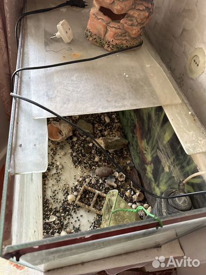 Аквариум на 120 литров