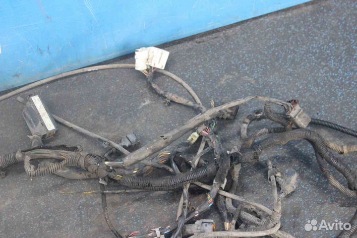 Проводка двигателя Hyundai Lavita (Хендай Лавита)