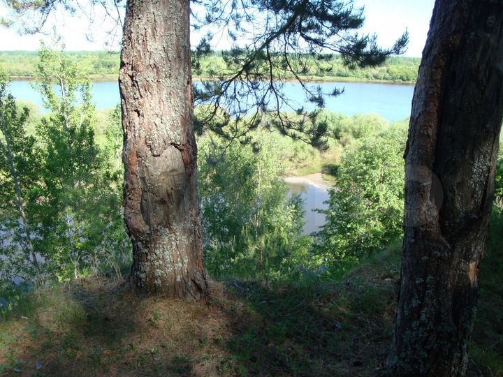 Участок 2 га (ИЖС)