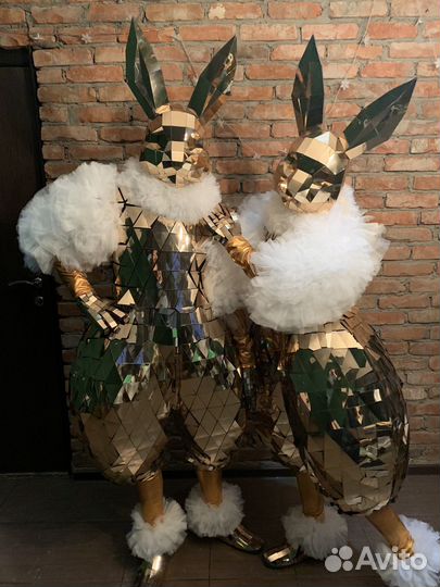 Зеркальные зайцы, зеркальные зайки, шоу