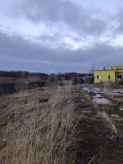 Участок 100 га (СНТ, ДНП)