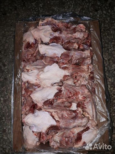 Корм для животных шеи,желудки