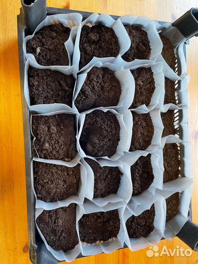 Пакеты для рассады 0,5 литра