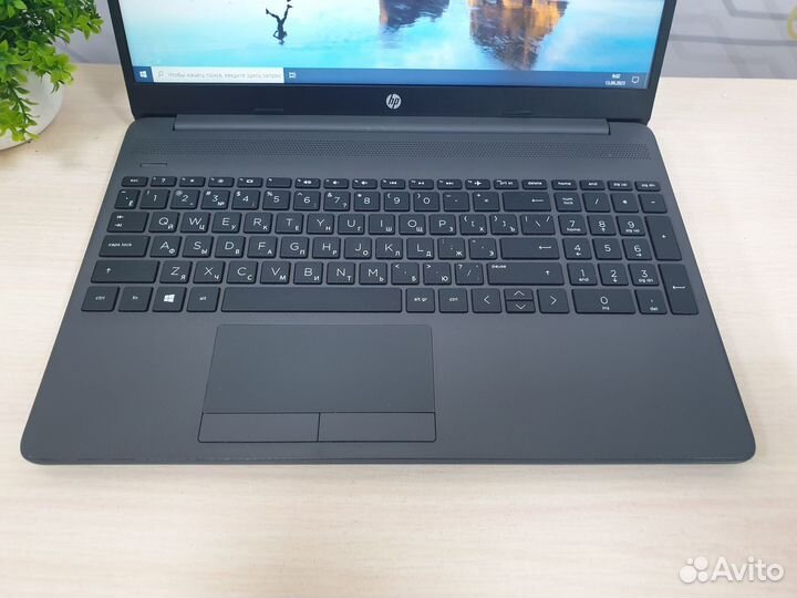 Ноутбук (HP, 255 G8 (2W1D4EA), AMD, 3020e 2 ядра 1