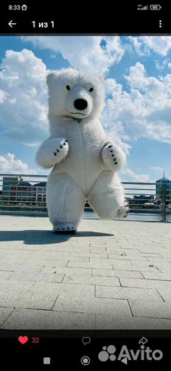 Поздравление,Мишка Тедди,Белый медведь,Панда,Зайка