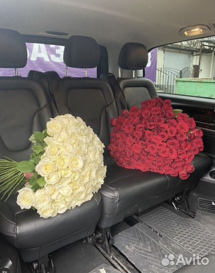 51, 101, 151, 201 Роза. Доставка