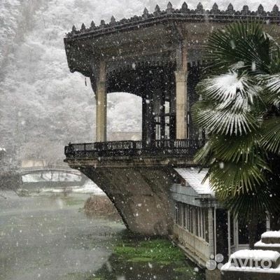 Горящие туры в Абхазию Золотое Кольцо