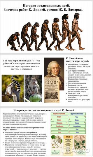 Создание презентации power point