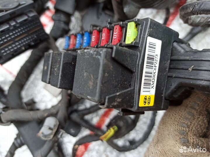 Проводка подкапотная kia sorento 2 xm