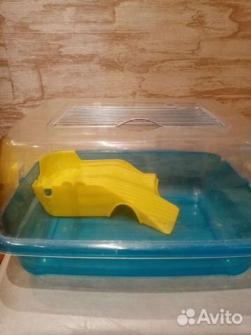 Экзотерариум для ящериц свинок