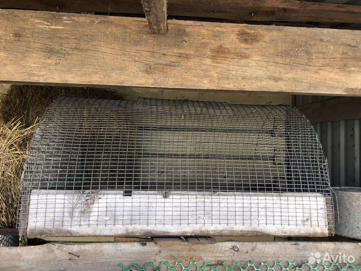 Клетка для цыплят