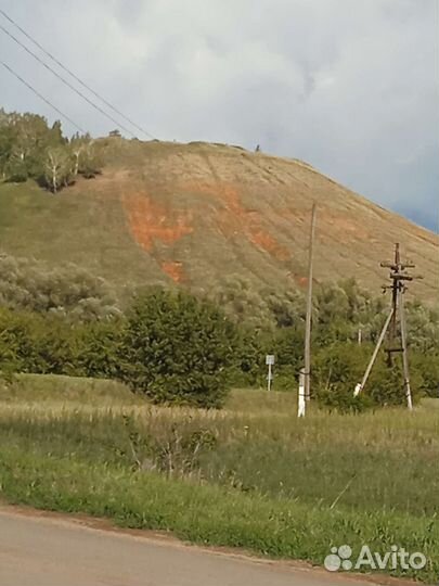 Веники береза продается