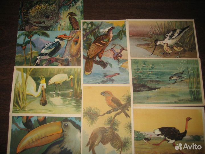 Открытки СССР 60 годов. Птицы 9шт Художник Аристов