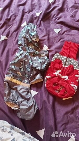 Вещи для маленьких собак