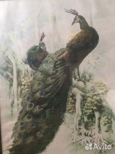 Картина Павлин