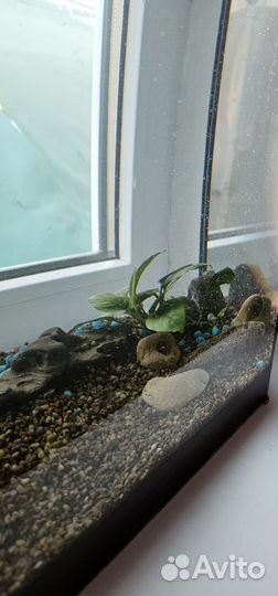 Аквариум 60л