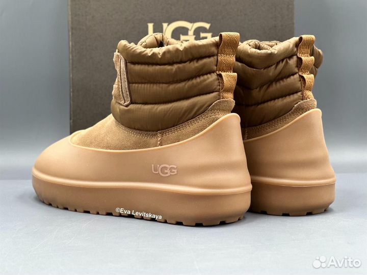 Угги Ugg Classic Mini Lace-Up Weather Chestnut