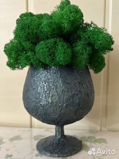 Стабилизированный мох бокал