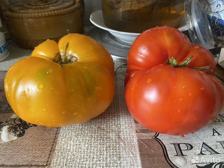 Семена томата вологодский