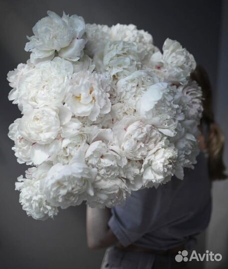 Букет пионов с беспл. доставкой