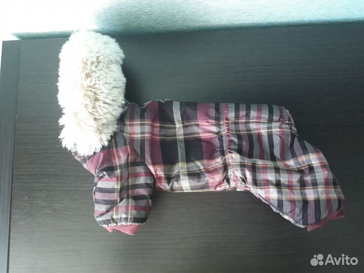 Одежда и обувь для маленьких собак