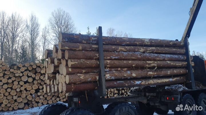 Круглый лес